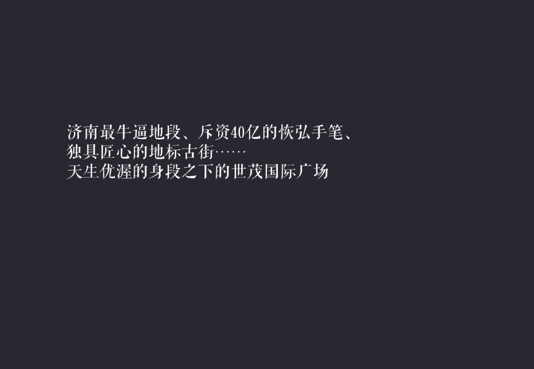 2018世茂国际广场宽厚里商业年度提案【商业地产】【品牌推广】.ppt 第3页