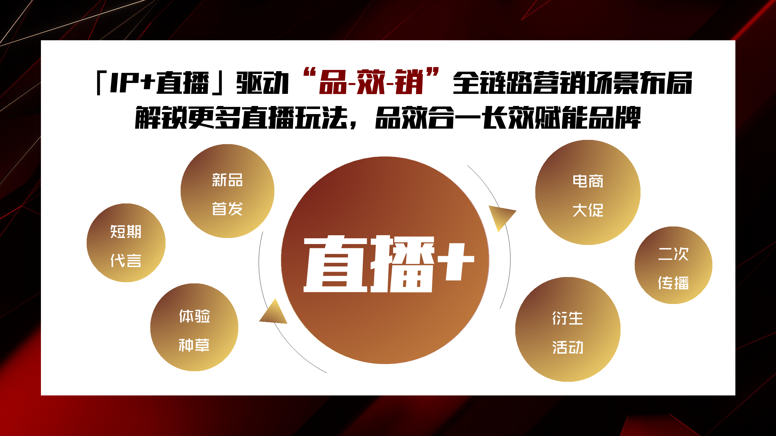2020《乘风破浪的姐姐》抖音直播招商方案【娱乐】【招商方案】.pdf 第3页