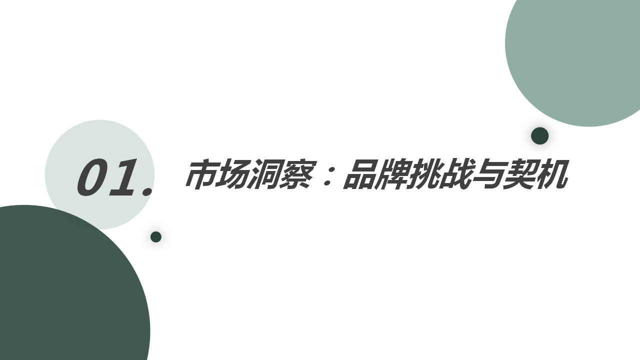 婧麒2021年上半年传播方案【母婴】【服饰】【电商】.pptx 第3页