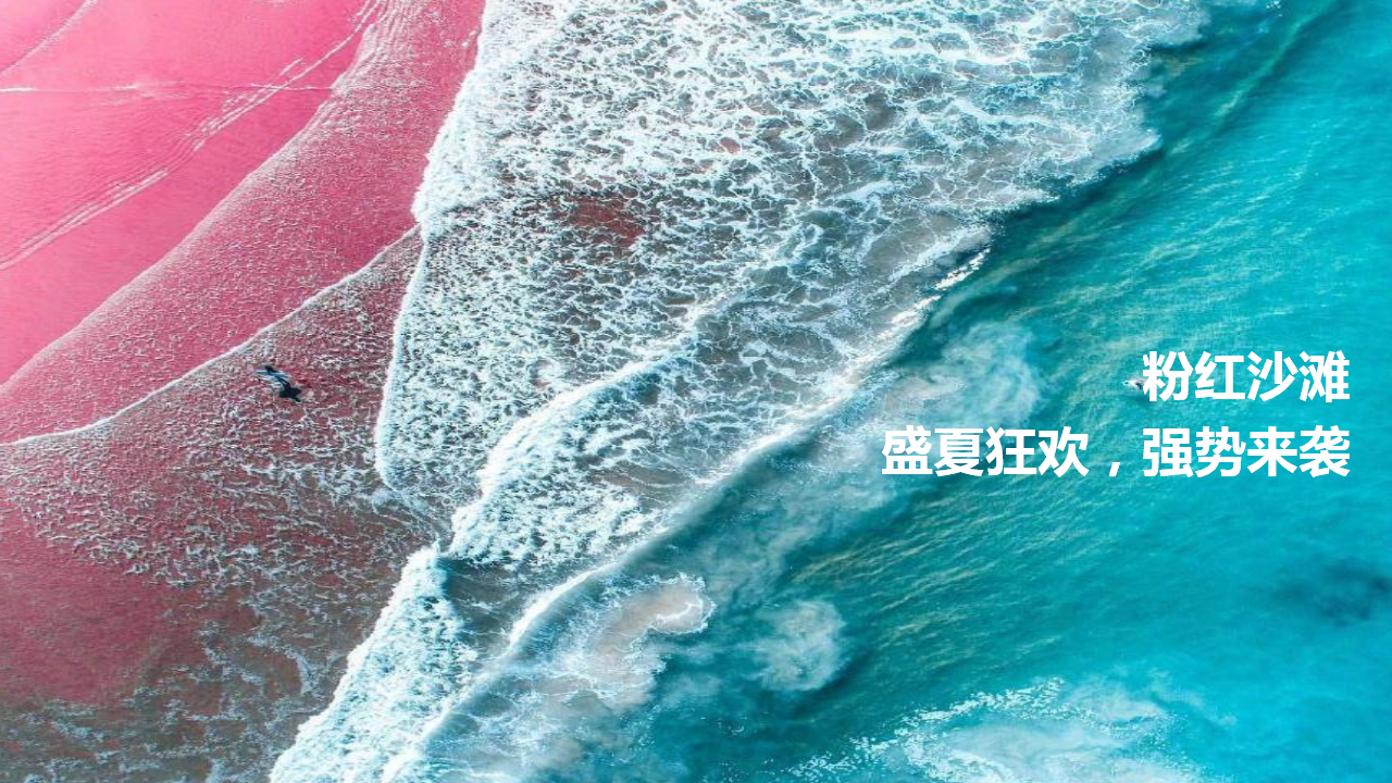 2019地产项目粉色水上派对活动策划方案【房地产】【夏日活动】.pptx 第2页
