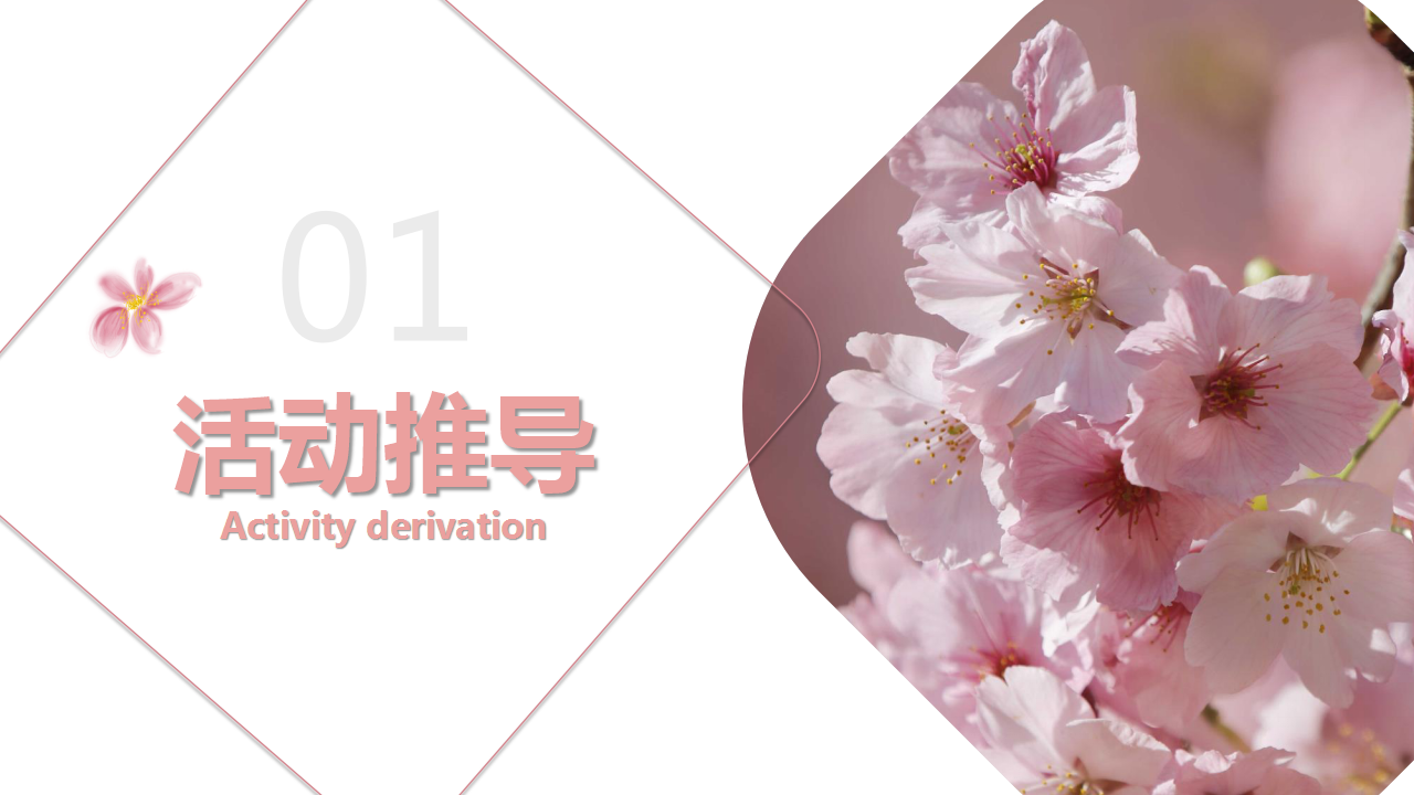 2019花城浪漫樱乐季活动策划方案【春季】【樱花】.pptx 第3页