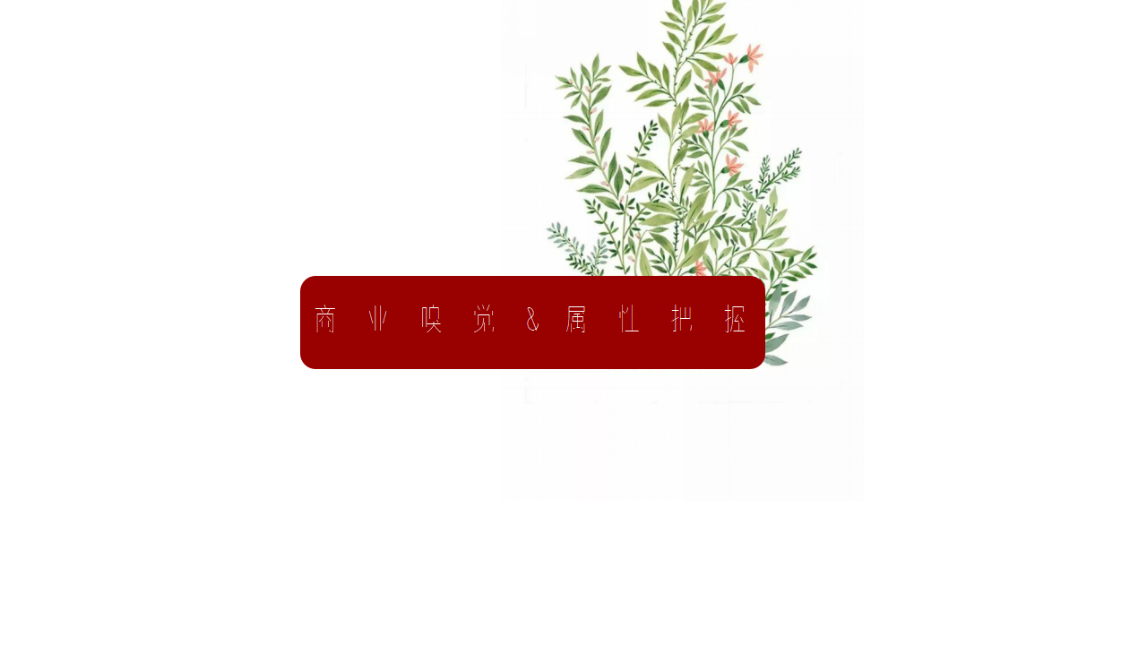 2020商业广场全年会员营销活动方案【房地产】【年度策划】【PR】.pptx 第2页