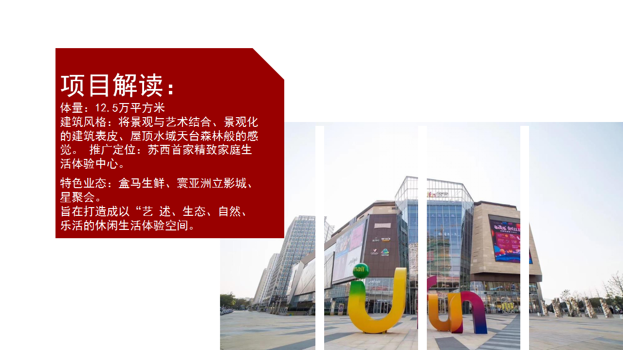 2020商业广场全年会员营销活动方案【房地产】【年度策划】【PR】.pptx 第3页