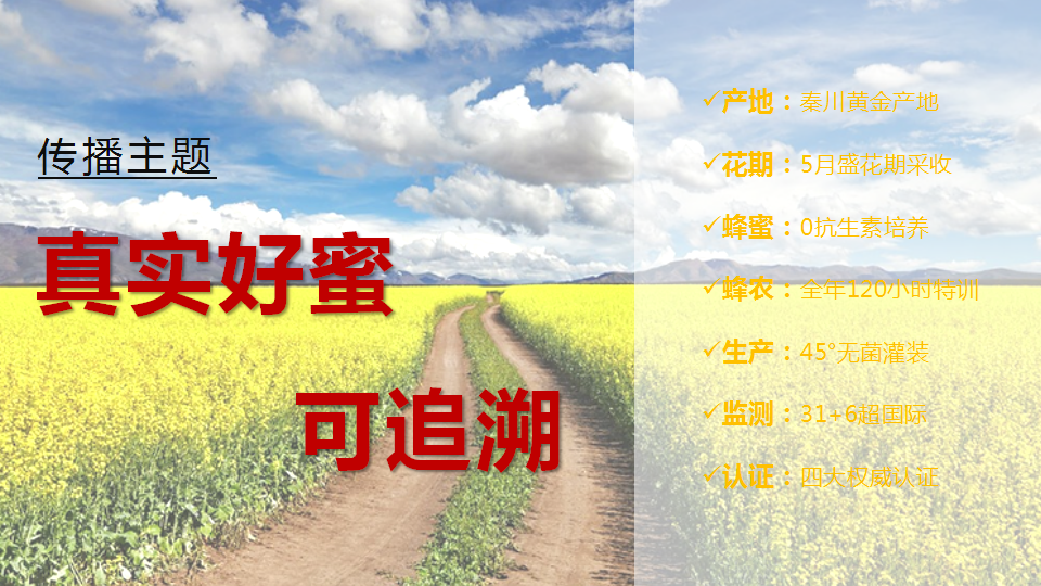 2019悦活蜂蜜传播规划【电商】【品牌推广】.pptx 第3页