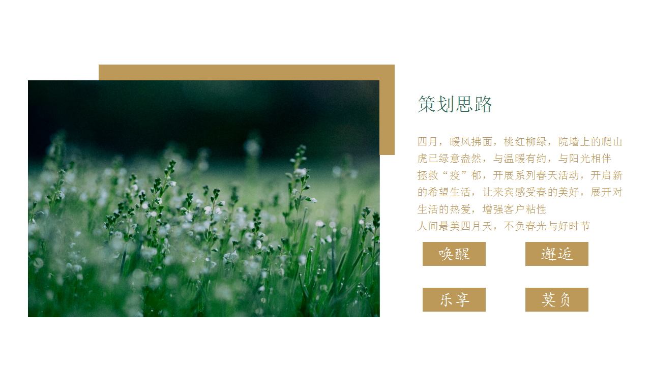 2020地产项目四月暖场&ldquo;我和春天有个约会&rdquo;活动策划方案【房地产】【活动策划】.pptx 第3页