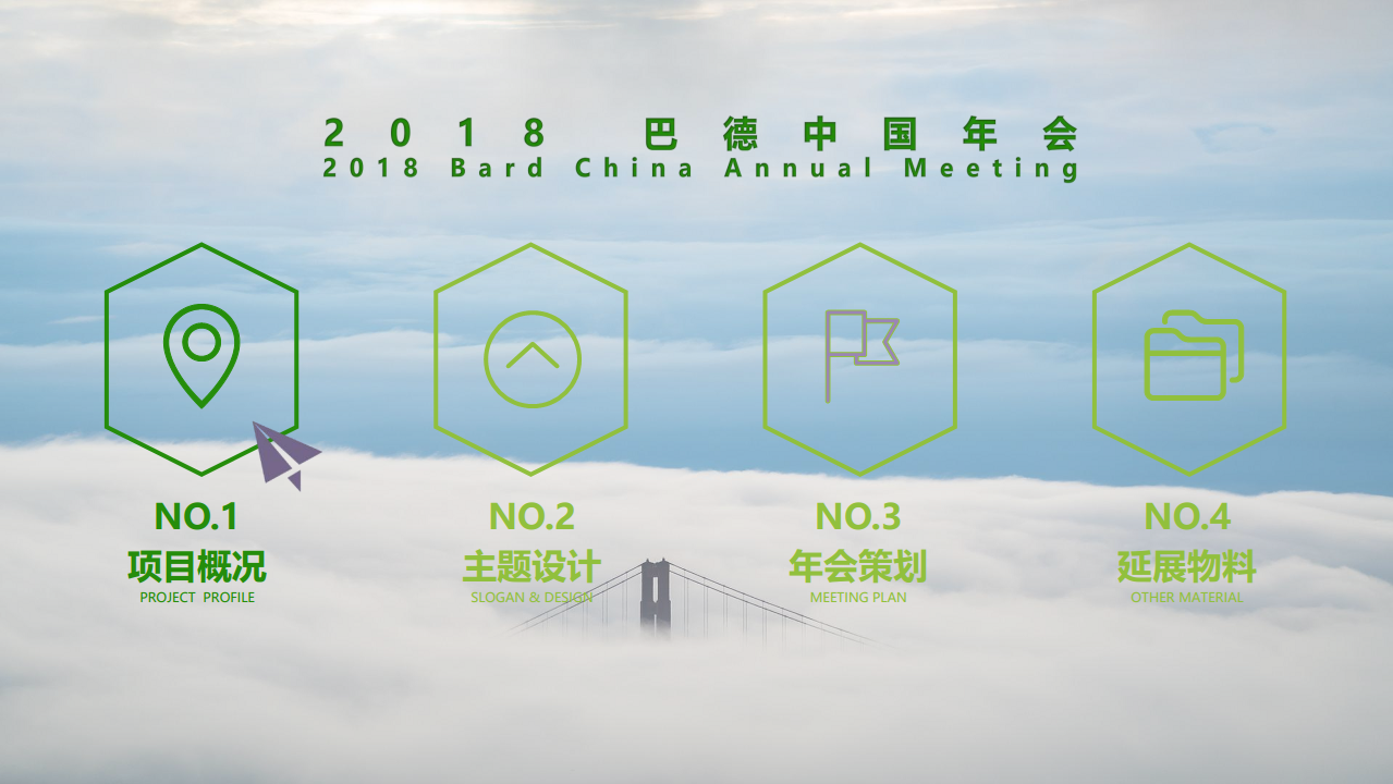 2018巴德中国年会策划方案【医药美容】【年会策划】.pdf 第3页