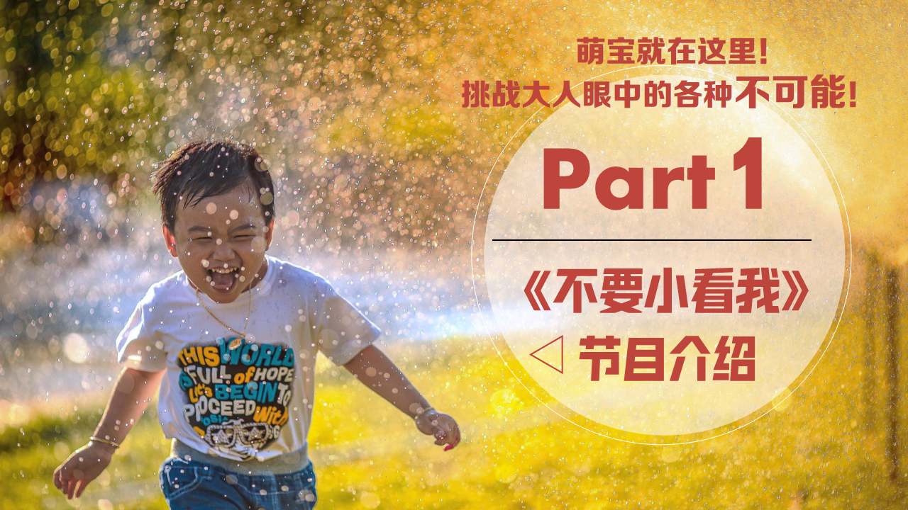 2021《不要小看我》招商方案【综艺】【招商案】.pdf 第3页