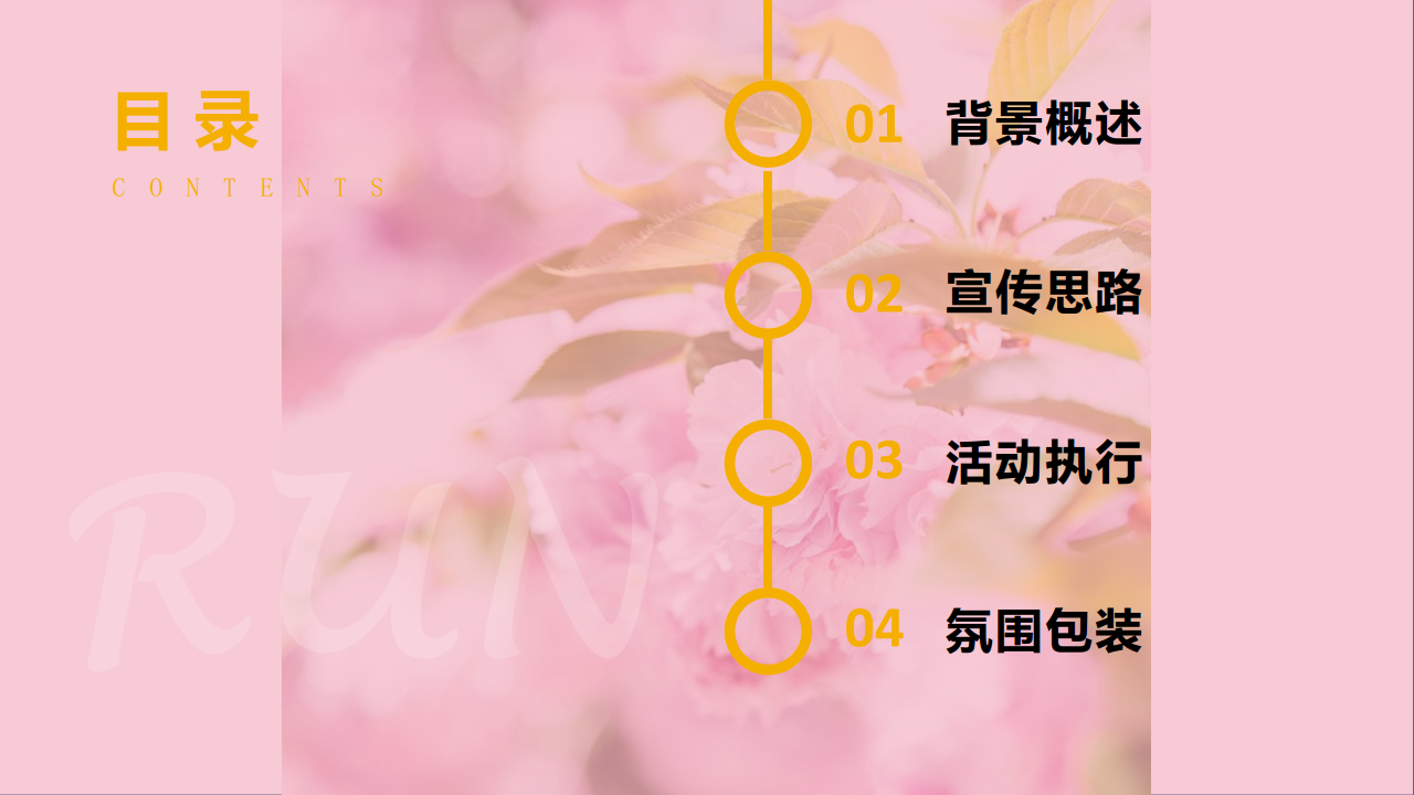 2019万达广场粉红派对跑执行方案【商业地产】【跑步】.pdf 第2页