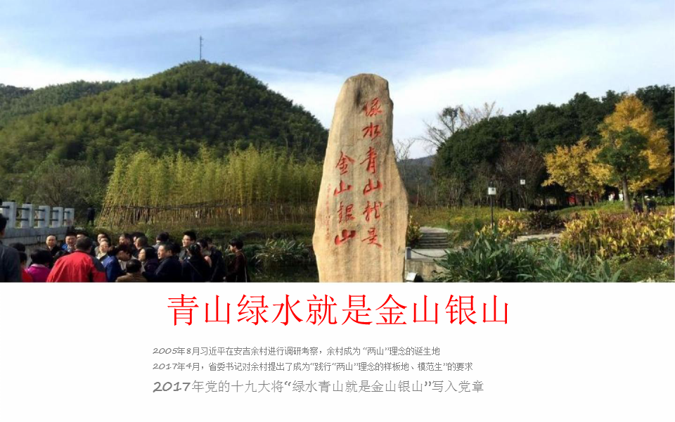 2018中旅安吉余村旅游营销策划方案【旅游】【营销推广】.pptx 第3页