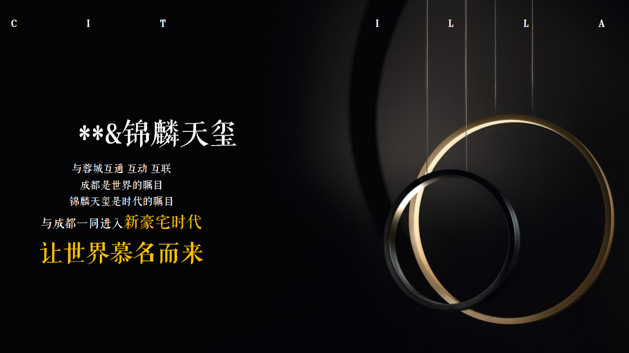 2020地产项目项目二期发布活动策划方案【房地产】【高端活动】.pptx 第3页