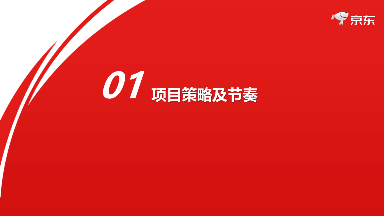 2021年京东618项目规划【电商】.pdf 第3页