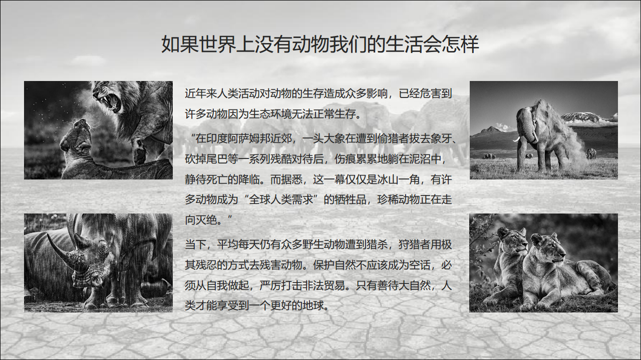 2019摄影师费德里科&middot;韦罗内西高净值客户展览活动策划【金融】【活动策划】.pdf 第2页