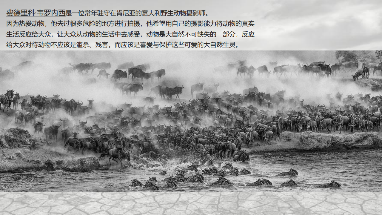 2019摄影师费德里科&middot;韦罗内西高净值客户展览活动策划【金融】【活动策划】.pdf 第3页