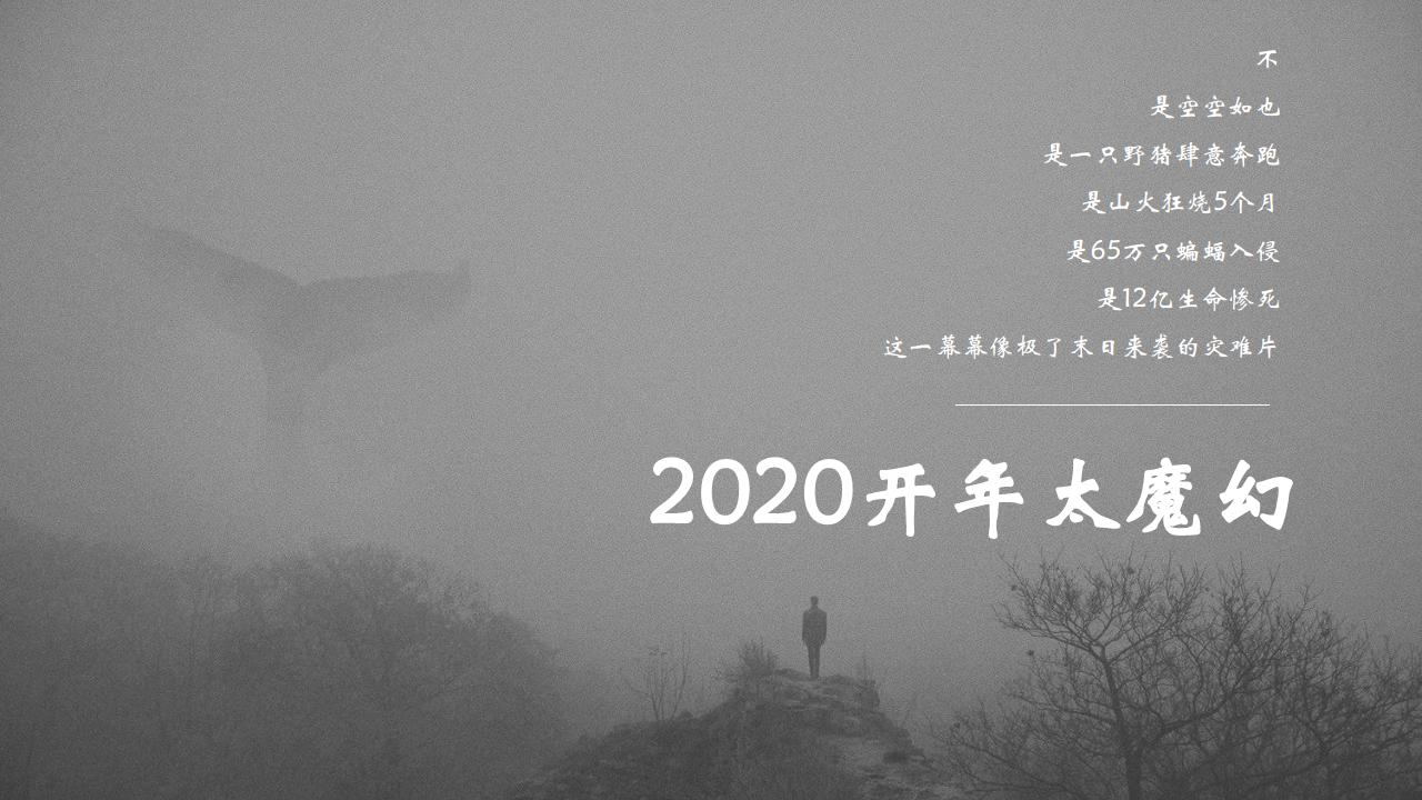 2020地产项目善居计划&middot;彩虹生活节策划方案【房地产】【活动策划】.pdf 第2页