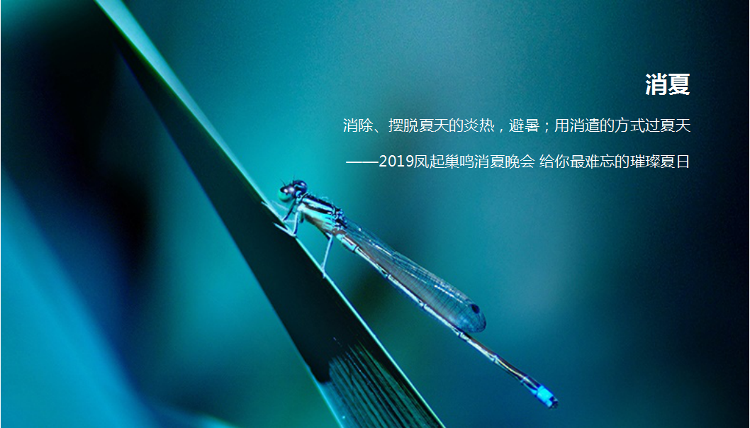 2019地产项目凤起巢鸣消夏音乐节活动策划方案【房地产】【音乐节】.pptx 第3页
