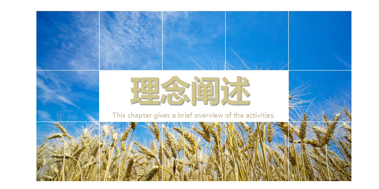 2019地产项目&ldquo;爸爸&rdquo;粽&ldquo;动员&rdquo;活动策划方案【房地产】【父亲节】【端午节】.pptx 第2页