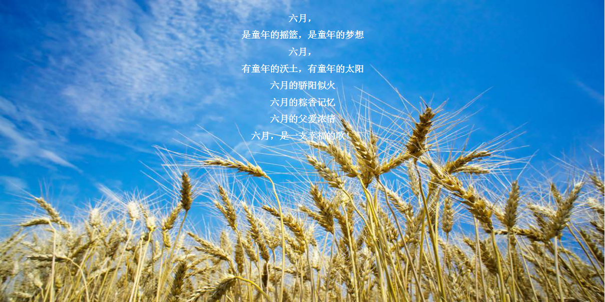 2019地产项目&ldquo;爸爸&rdquo;粽&ldquo;动员&rdquo;活动策划方案【房地产】【父亲节】【端午节】.pptx 第3页