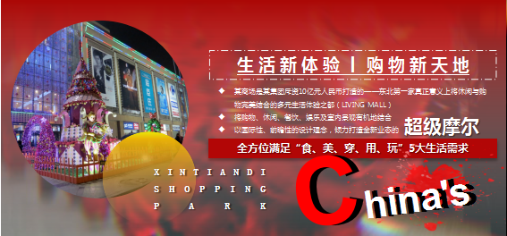 2020年&ldquo;东方腔调 国风回潮&rdquo;主题春节系列活动策划案【商业地产】【春节】【国风】.ppt 第3页