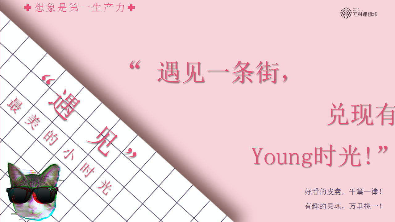 2019商业风情商业街开街&ldquo;最in网红街&rdquo;活动思路方案【商业地产】【开业活动】.pptx 第2页