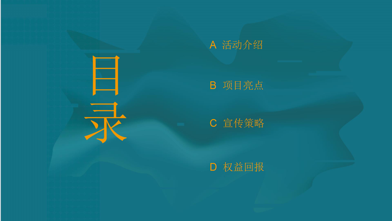 2018深鱼滑板赛事品牌DNFree深圳长板嘉年华活动招商策划方案【体育】【招商方案】.pptx 第2页