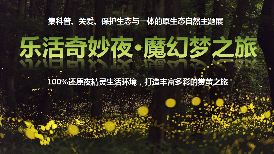 2018商业街区国庆萤火虫魔幻主题活动策划方案【商业地产】【节庆策划】.pptx 第3页