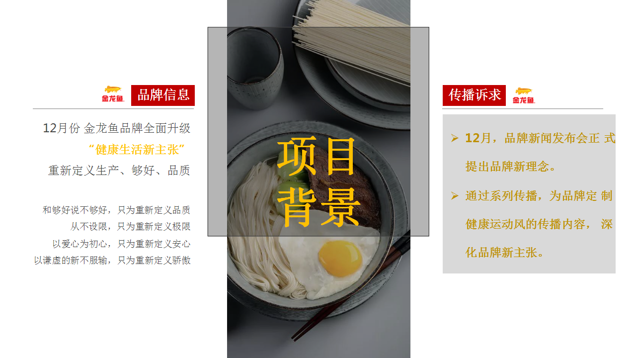 2018金龙鱼大品牌抖音挑战赛传播方案【快消零售】【短视频】.pptx 第2页