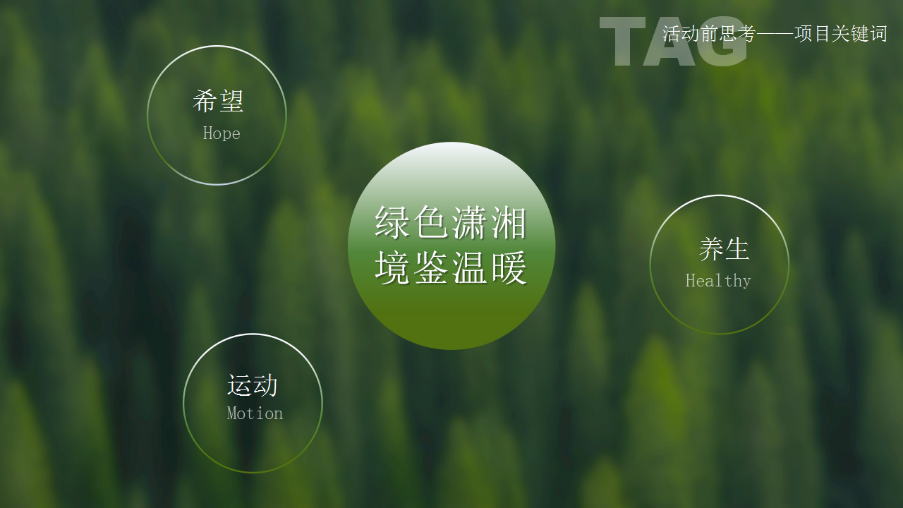 2020房地产三月疫情期暖场方案【房地产】【活动策划】.ppt 第2页