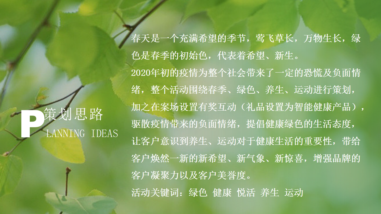 2020房地产三月疫情期暖场方案【房地产】【活动策划】.ppt 第3页