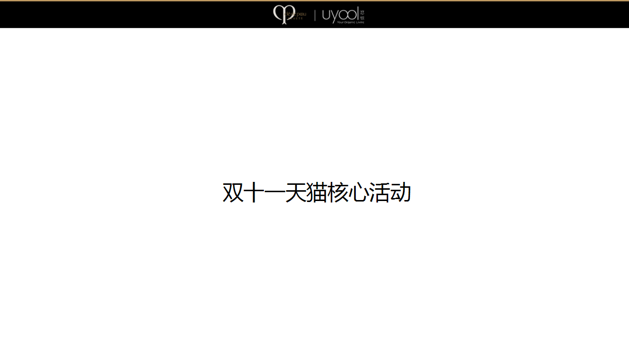 CPB双十一营销策划方案【电商】【美妆】.pptx 第2页