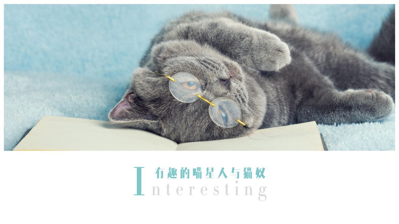 2019天猫国际宠物品类扶植计划营销方案【电商】【脚本】.pptx 第2页