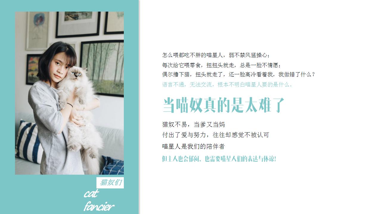 2019天猫国际宠物品类扶植计划营销方案【电商】【脚本】.pptx 第3页