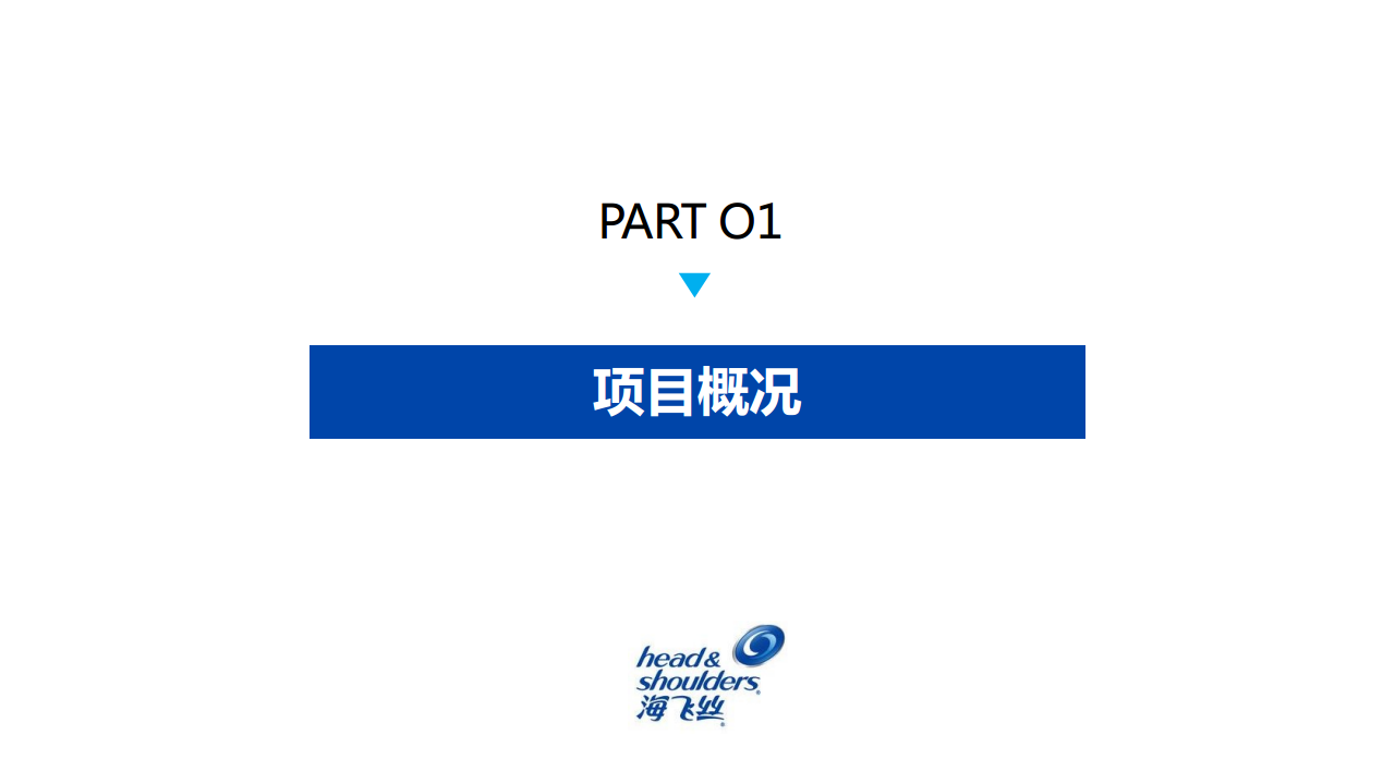 2018海飞丝&times;热血街舞团微博营销结案【快消零售】【微博】.pdf 第2页