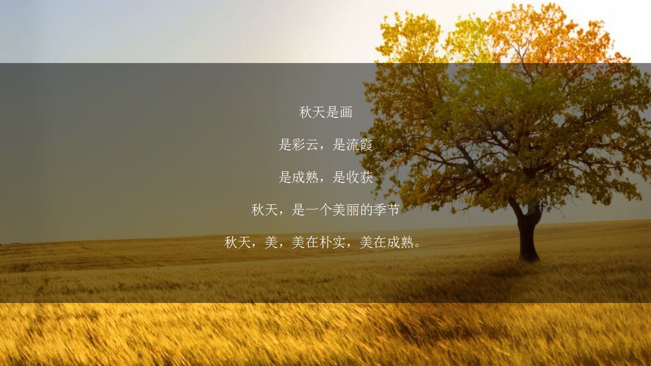 2020地产项目金秋10月-12月金秋派对系列活动策划方案【房地产】【活动策划】.pptx 第3页