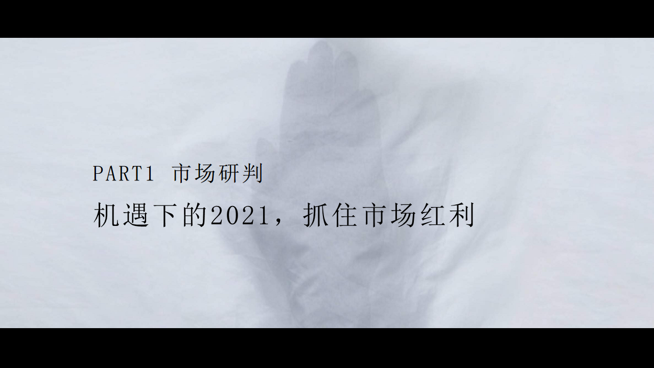 2021中粮三亚大悦中心上半年Q1 Q2季度活动规划方案【活动安排】.pdf 第3页