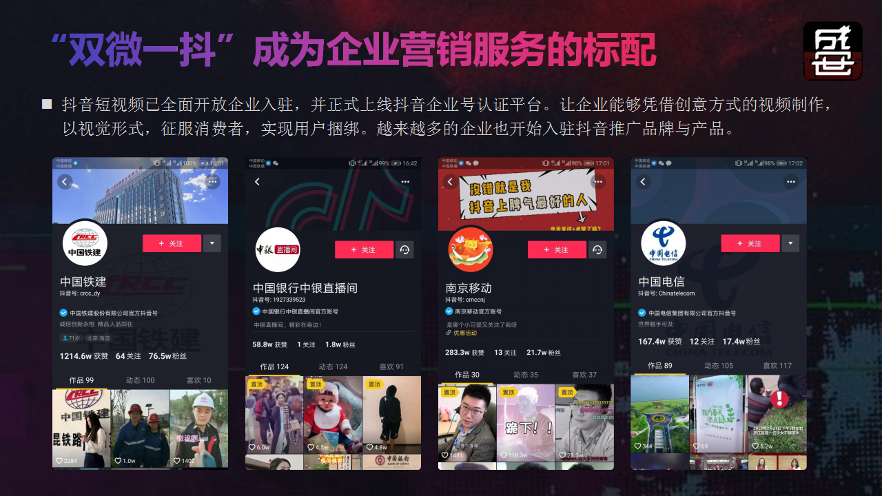 2019广州联通抖音号年度运营方案【电信】【短视频】.pptx 第2页