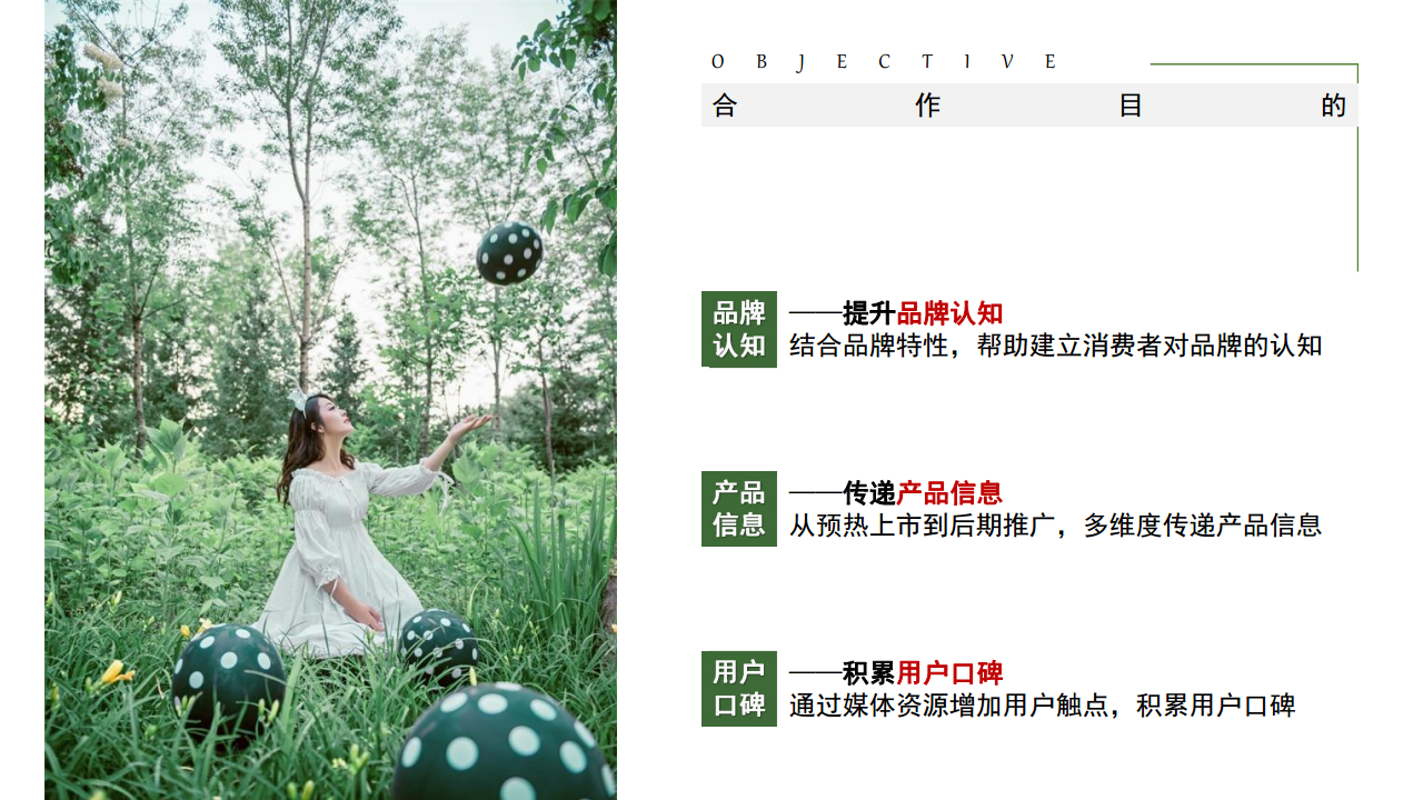 2017Onlylady-朵而护肤保湿新品上市媒体推广计划【护肤品】【品牌推广】.pdf 第2页