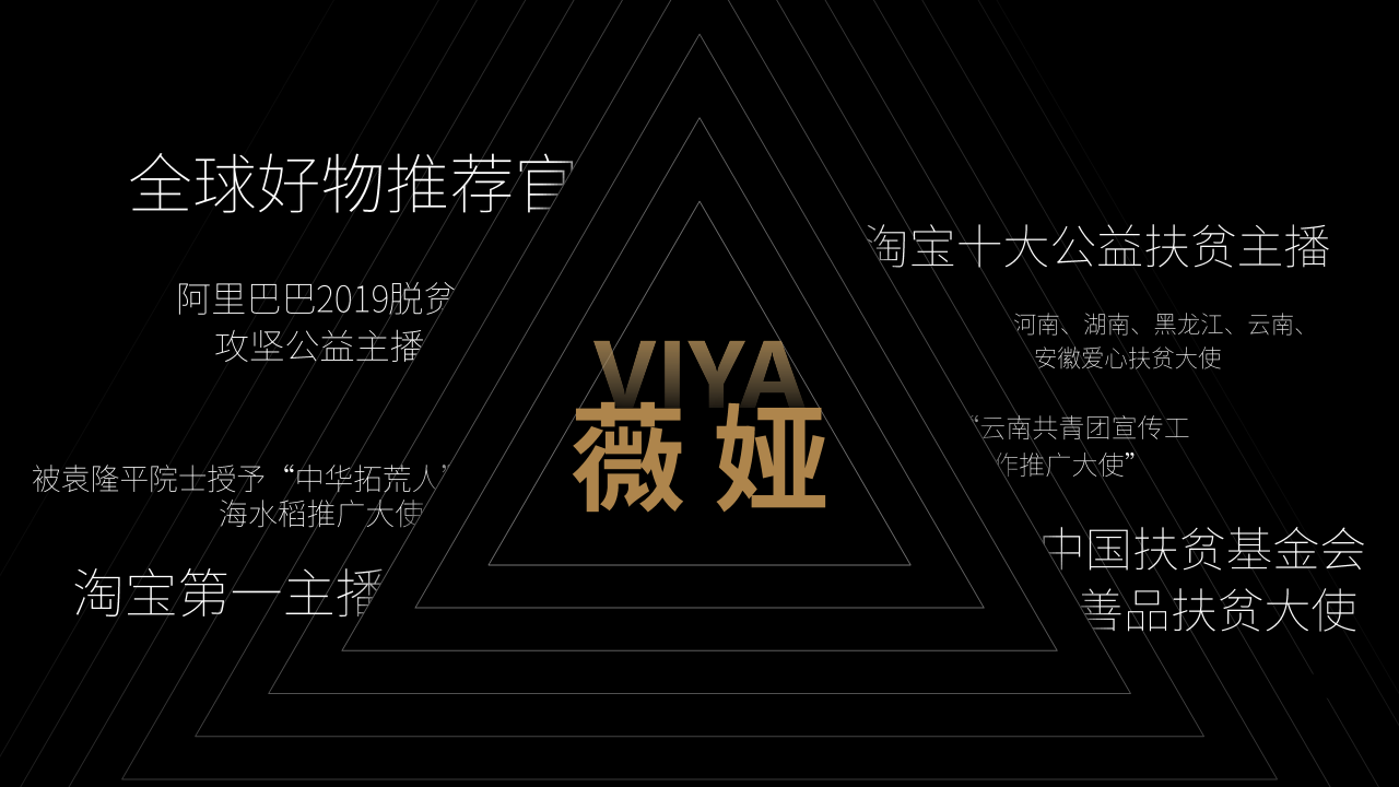 2020薇娅感恩节招商合作方案【电商】【直播】【招商】.pdf 第2页