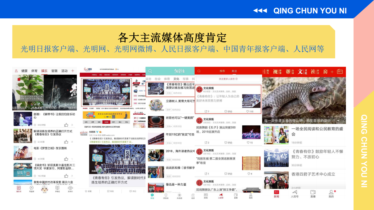 2019《青春有你》商务复盘【影视娱乐】.pdf 第3页