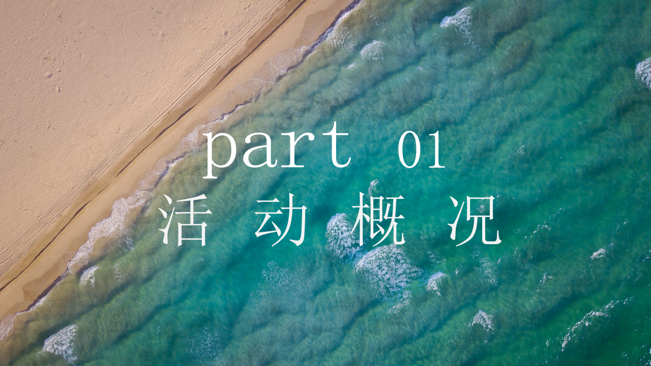 2020地产项目夏日沙滩狂欢派对活动策划方案【房地产】【夏日活动】.pptx 第3页