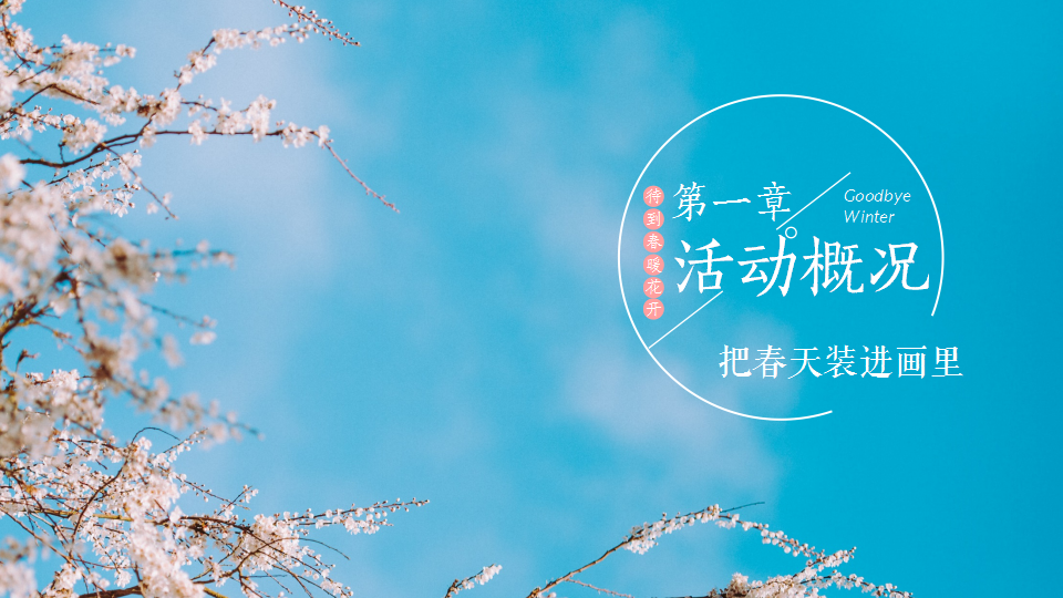 2021商场-地产春季四月周末彩绘&ldquo;把春天装进画里&rdquo;活动策划方案【春季活动】.pptx 第2页