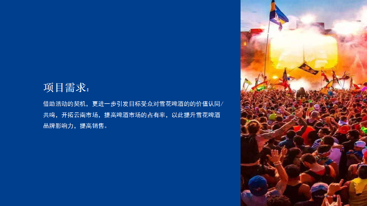 2020雪花民族啤酒节&ldquo;年轻无极限 无畏共天涯&rdquo;活动策划方案【快消零售】【线下推广】.pptx 第2页