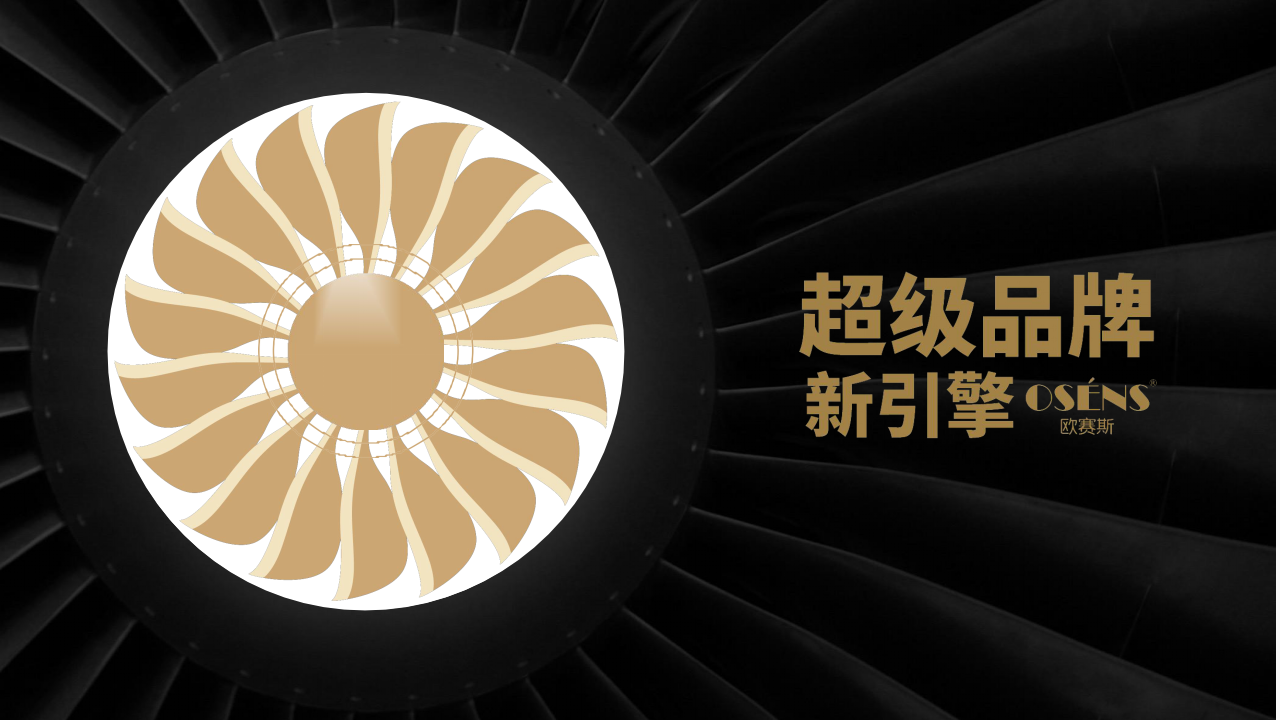 2019MEPHISTO品牌线上全网整合传播计划书【服饰】【品牌营销】.pptx 第2页