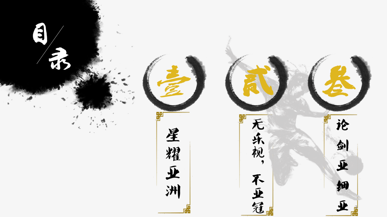 2017亚冠联赛招商方案乐视体育生态商业中心策划部【足球】【招商方案】.pdf 第2页