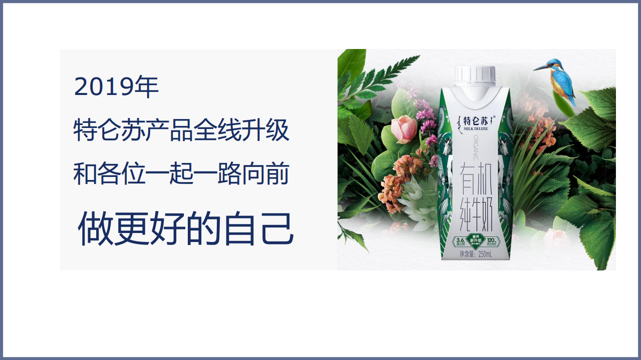 2019蒙牛特仑苏抖音营销合作方案【快消品】【两微一抖】【创意营销】.pdf 第3页