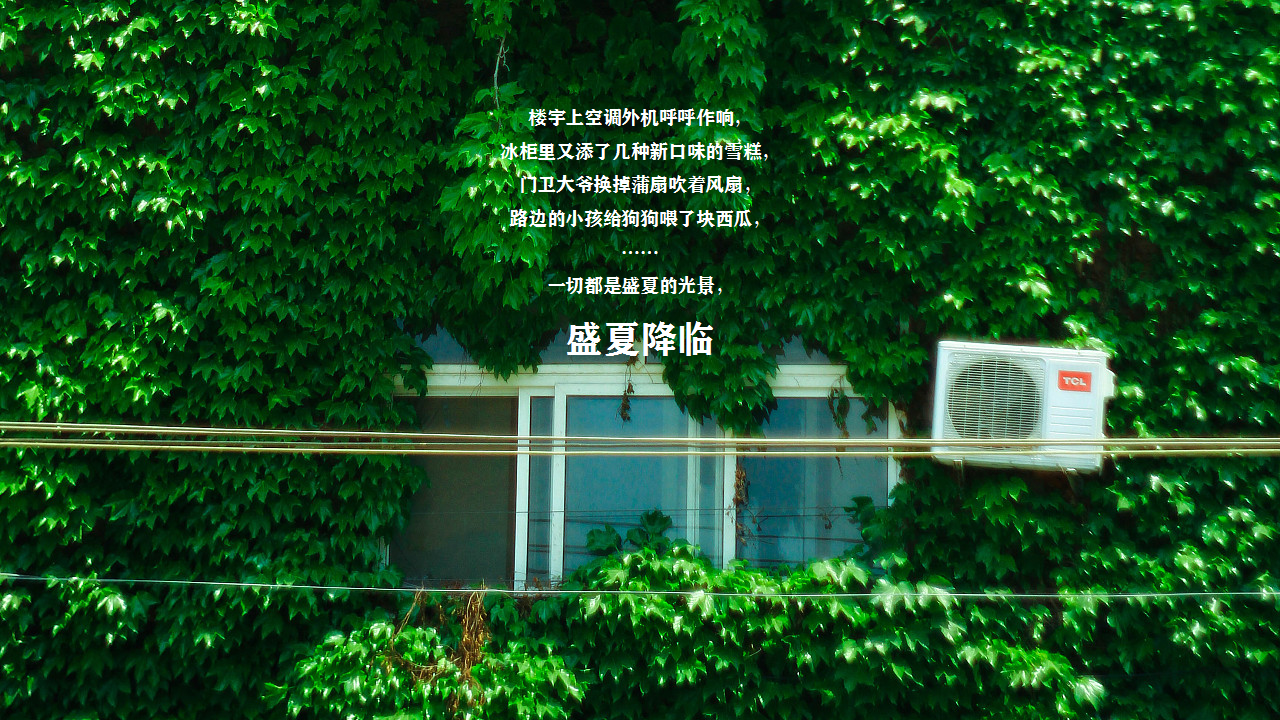 2020商业广场&ldquo;西瓜派对&rdquo;夏日消暑活动策划方案【商业地产】【夏季活动】.pptx 第2页