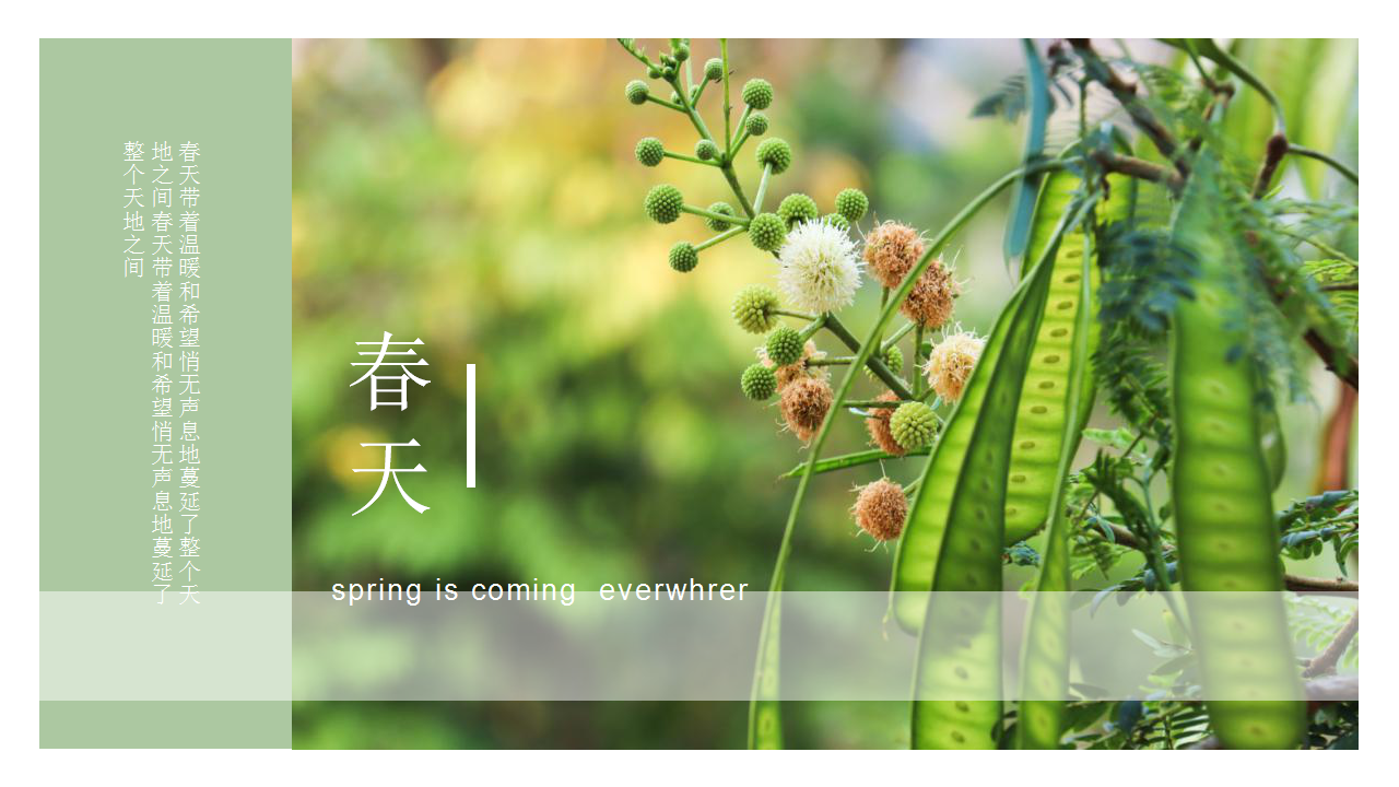 2021地产项目春季四月月度&ldquo;四月你好&middot;遇见好时光&rdquo;活动策划方案【春节活动】.pptx 第2页