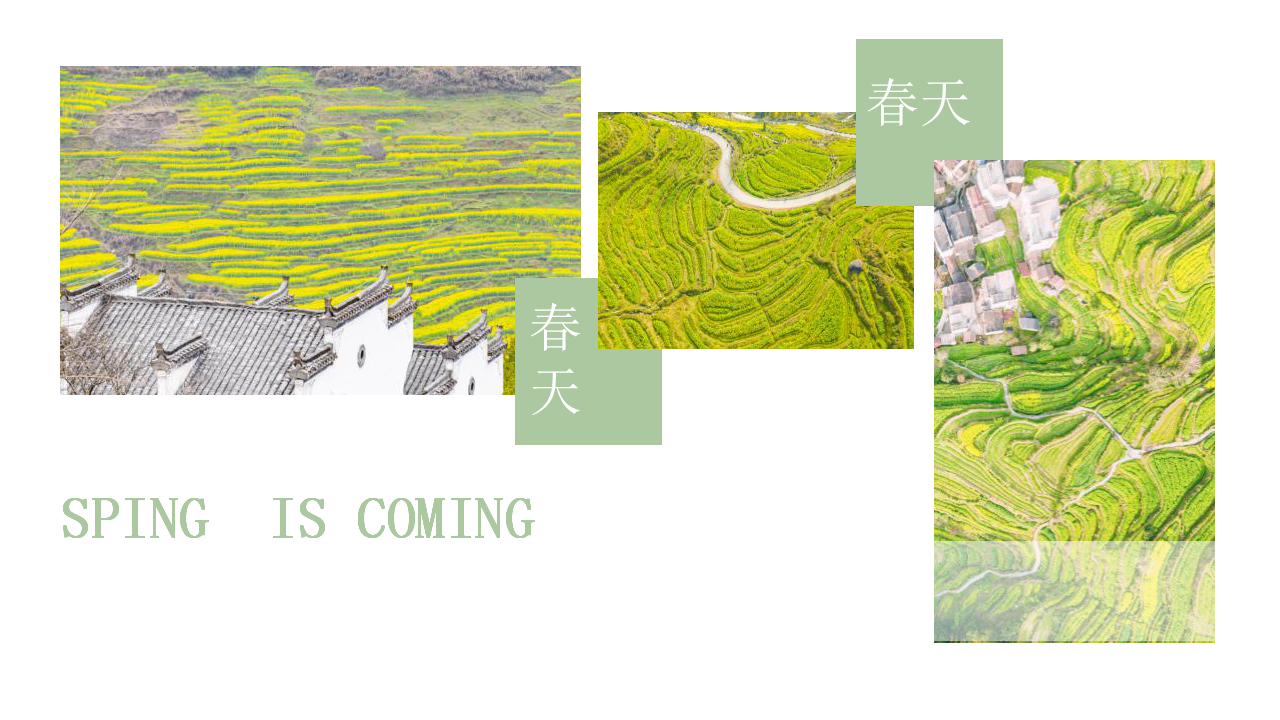 2021地产项目春季四月月度&ldquo;四月你好&middot;遇见好时光&rdquo;活动策划方案【春节活动】.pptx 第3页