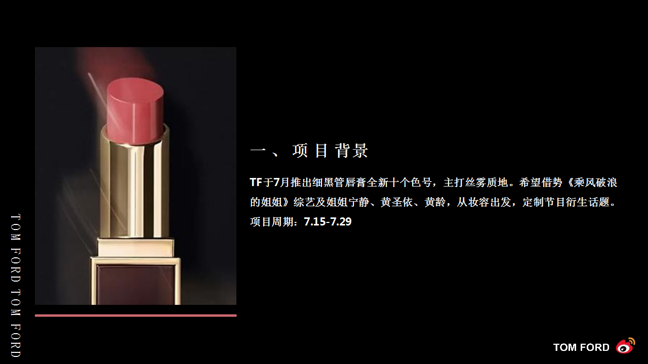 2020美妆品牌口红《乘风破浪的姐姐》社会化传播营销结案【美妆】【微博传播】.pptx 第3页