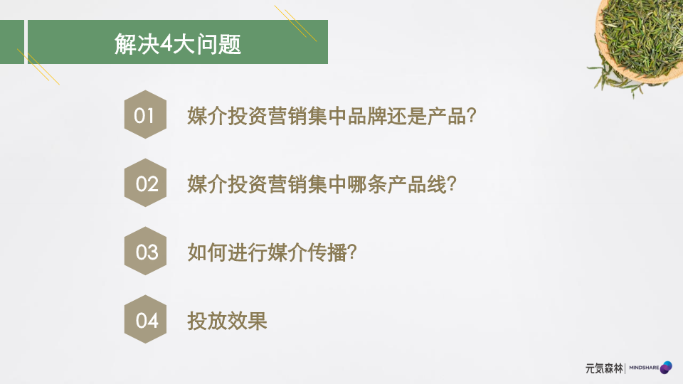 元気森林媒介投资规划【快消零售】【营销推广】.pdf 第2页