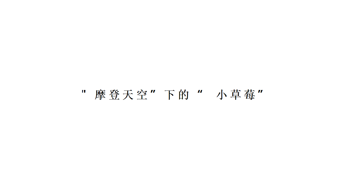 2019小草莓亲子音乐节招商方案【音乐节】【亲子活动】.pptx 第3页